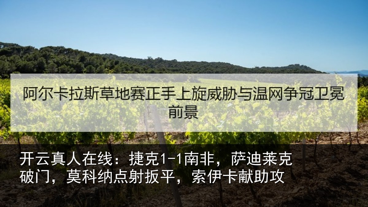开云真人在线:捷克相关情况,莫科相关情况献助攻