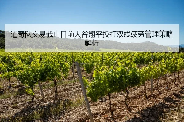 道奇队交易截止日前大谷翔平投打双线疲劳管理策略解析