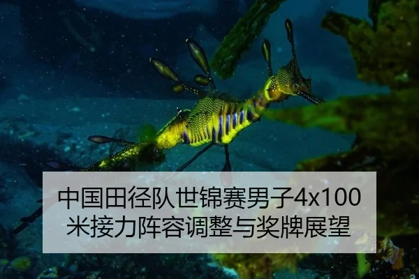 中国田径队世锦赛男子4x100米接力阵容调整与奖牌展望